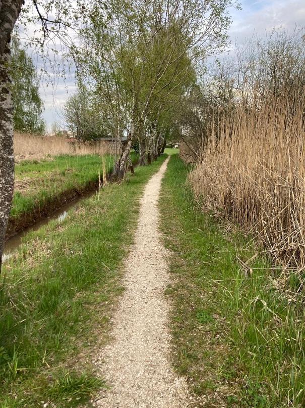 Feriennest Chiemseeglueck Übersee Exteriör bild