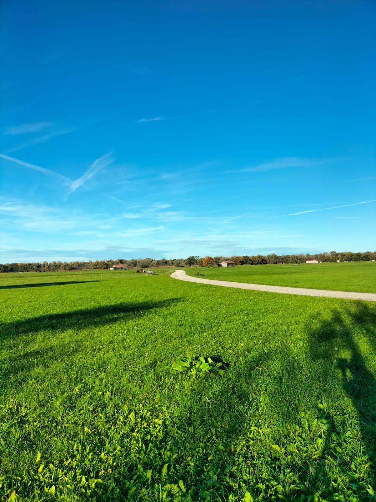 Feriennest Chiemseeglueck Übersee Exteriör bild